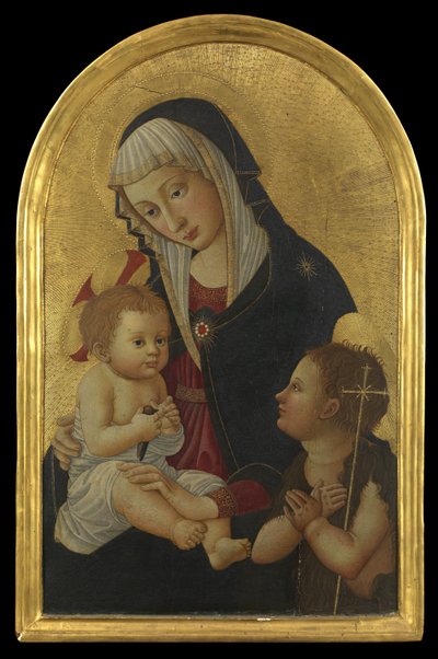 1460年以降のゴールドフィンチと幼児聖ヨハネの聖母子（パネルのテンペラ） 作： Pseudo Pier Francesco Fiorentino