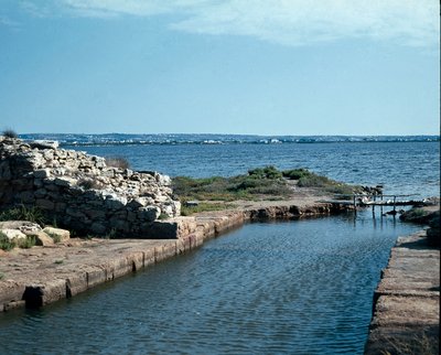 紀元前8世紀に建設された古代ポニキアの都市、モツィア（Motya, Mozzia or Motia）島のコトン（Khoton）の眺め。シチリア島 作： Punic Punic