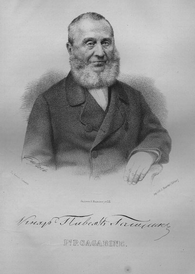パヴェルパブロビッチガガーリン伯爵の肖像1789-1872、1865 作： Pyotr Fyodorovich Borel