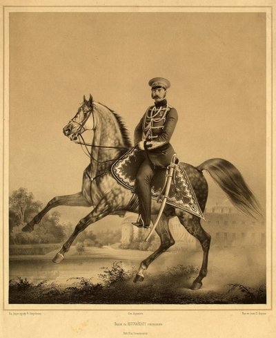 皇帝アレクサンドル2世の肖像1818〜1881年、1860〜1870年代 作： Pyotr Fyodorovich Borel