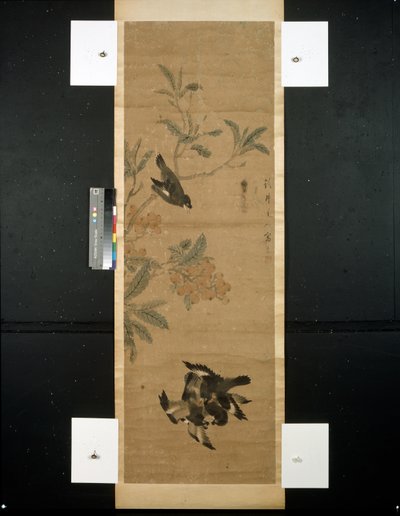 鳥と枝 作： Qing Dynasty Chinese School