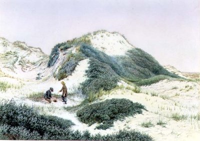 ハイタウンの砂丘地帯 1885（水彩画 作： R.H. Rutherford