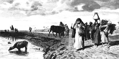 デルタのショッセ、洪水の時、1880 作： R. Brandamour
