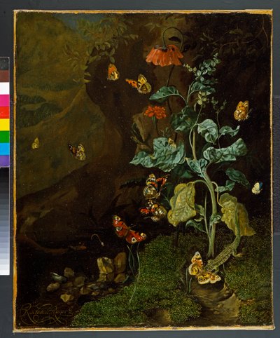 1750年以前の、花、蝶、トカゲの静物画 作： Rachel Ruysch