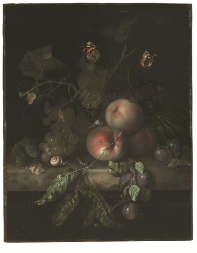 桃、ブドウ、プラムと石の棚にいるトンボ、カタツムリ、青虫、蛾などの昆虫たち 作： Rachel Ruysch