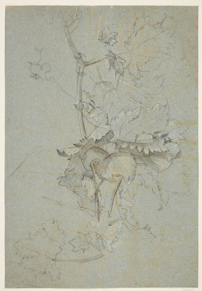 植物研究 作： Rachel Ruysch