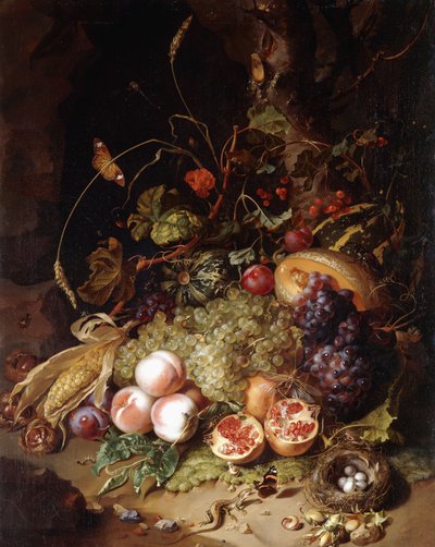 果物と虫のいる静物、 作： Rachel Ruysch