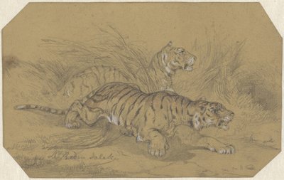 草むらをうろつく二頭の虎 作： Raden Sarief Bastaman Saleh