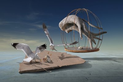 カモメたちが非現実的な檻から脱出 作： Radoslav Penchev