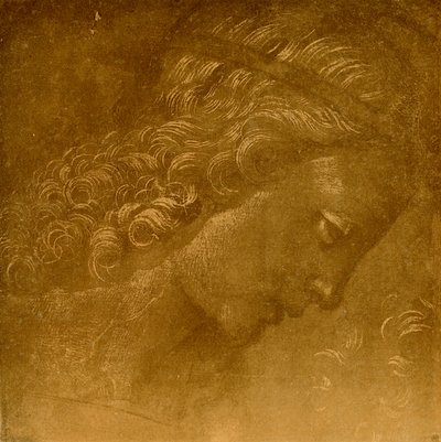 天使の頭に関する研究 作： Raffaellino del Garbo
