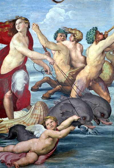 ガラテア、マーメンとイルカのディテール、1506フレスコ画56473のディテール 作： Raffaello Sanzio Raphael