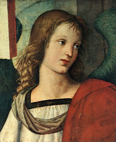 天使の頭、c。 1500 作： Raffaello Sanzio Raphael