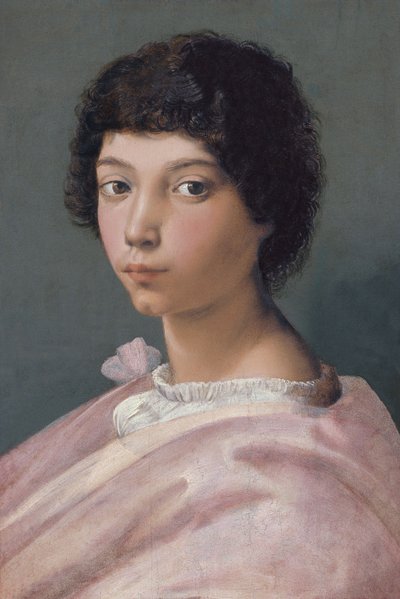 若い男の肖像 作： Raffaello Sanzio Raphael
