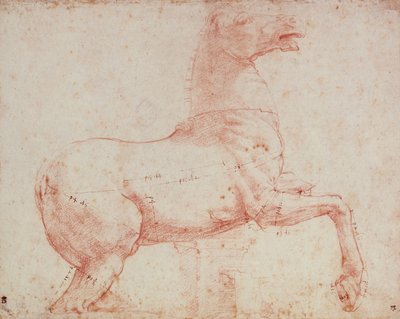 クイリナールの大理石馬の研究（紙に赤いチョーク） 作： Raffaello Sanzio Raphael