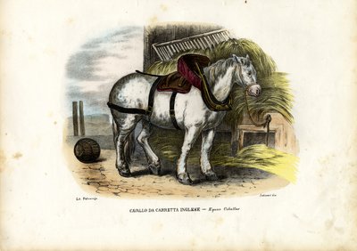 イングリッシュファームホース、1863-79 作： Raimundo Petraroja