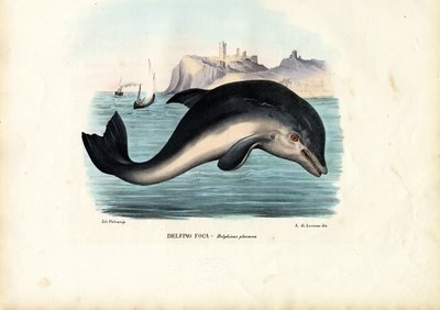 ハーバーポルポイズ、1863-79 作： Raimundo Petraroja