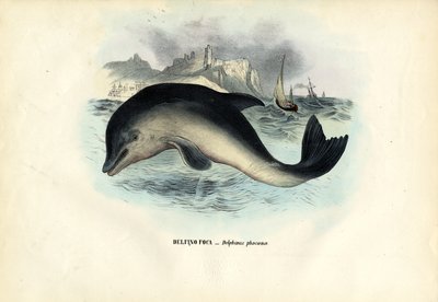 ハーバーポルポイズ、1863-79 作： Raimundo Petraroja