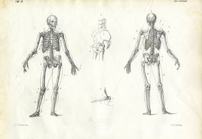 人間、1863-79 作： Raimundo Petraroja