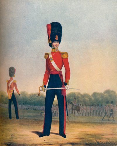 「寒流警備隊の士官の冬服」、19 世紀、1909 年 作： Ralph Nevill