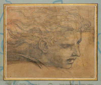 若い男性の頭部、4分の3が右... 作： Raphael (1483-1520)