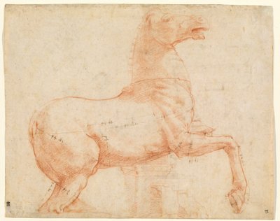 Marmorihevonen Quirinal Hillillä (recto), n. 1513 (punainen liitu, kynä, ruskea muste, lyijykärki ja kynä) 作： Raphael (1483 1520)
