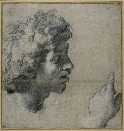 頭と手の研究 作： Raphael