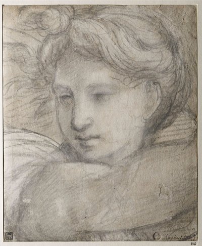 Raffaello Sanzio - 天使の頭 par Raphael (1483-1520), 1520年頃 - 紙に白黒チョーク、30,8x25,4 - Szepmuveszeti Muzeum, Budapest 作： Raphael