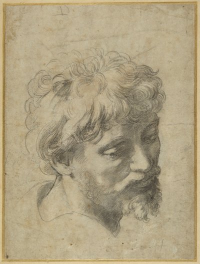 変身」の左端の弟子の習作（グレーの紙に黒チョーク 作： Raphael