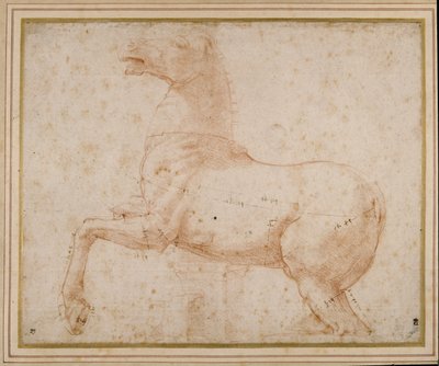馬の習作（紙にペン、インク、鉛筆 作： Raphael