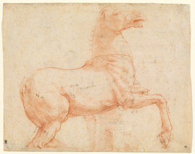 クイリナルの丘の大理石の馬 [直訳] 作： Raphael