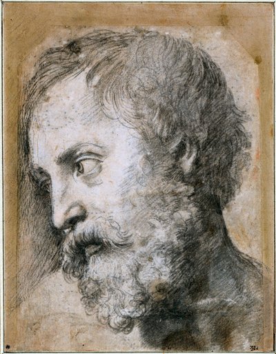 変容のための使徒研究長、1519年から1520年 作： Raffaello Sanzio Raphael