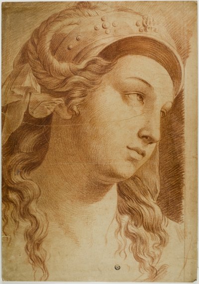 コミティの責任者 作： Raphael