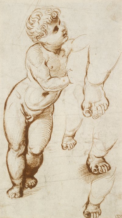 レクト。幼いキリストと他の研究、1500年から1520年 作： Raphael
