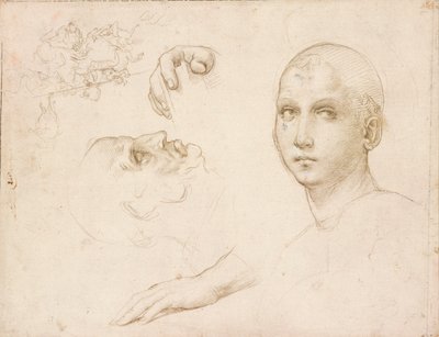 16世紀初頭、サン・セベロの三位一体に関する研究 作： Raphael