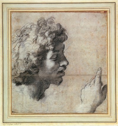 人の頭と手の研究 作： Raphael
