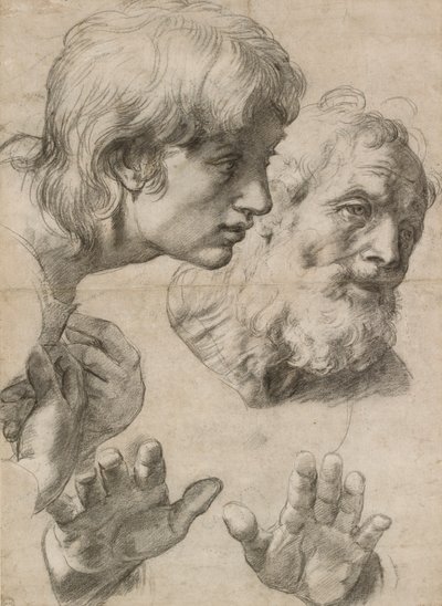 2 人の使徒の頭と手の研究、16 世紀 作： Raphael
