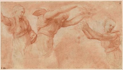プシュケとキューピッドの結婚式を祝う神々のための研究、1518-1519。 作： Raphael
