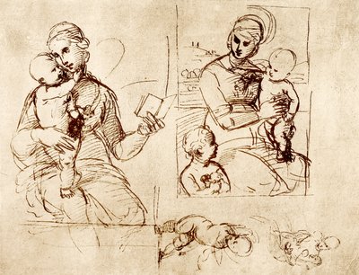 2つのマドンナ研究 作： Raffaello Sanzio Raphael