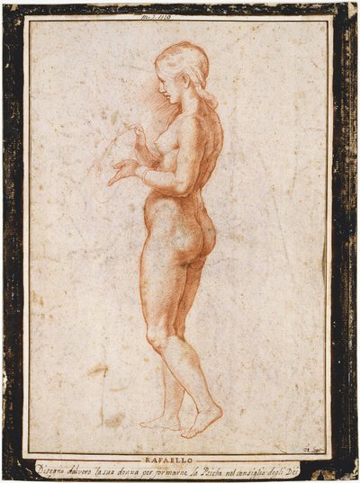横顔の若い女性像、1517年頃。 作： Raphael