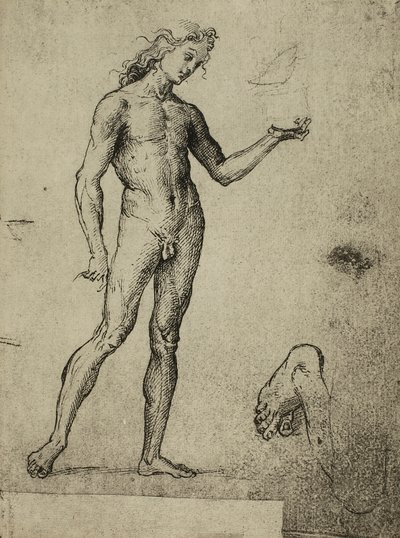 男性のヌード研究;ラファエルの絵。ギャラリーデルアカデミア、ヴェネツィア 作： Raffaello Sanzio Raphael