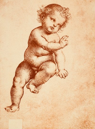 ラファエルが描いた赤ん坊のイエスのために勉強。ギャラリーデルアカデミア、ヴェネツィア 作： Raffaello Sanzio Raphael