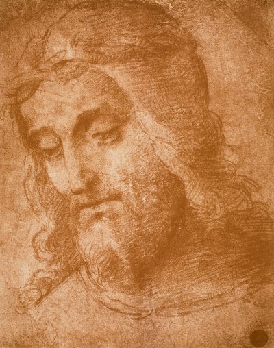 ラファエルが描いた贖い主の顔を学ぶ。ギャラリーデルアカデミア、ヴェネツィア 作： Raffaello Sanzio Raphael