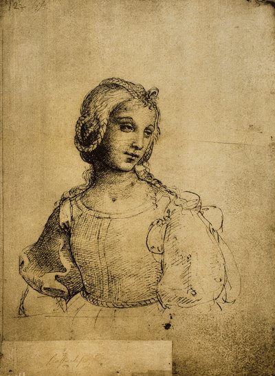 女性の研究;ラファエルの絵。ギャラリーデルアカデミア、ヴェネツィア 作： Raffaello Sanzio Raphael