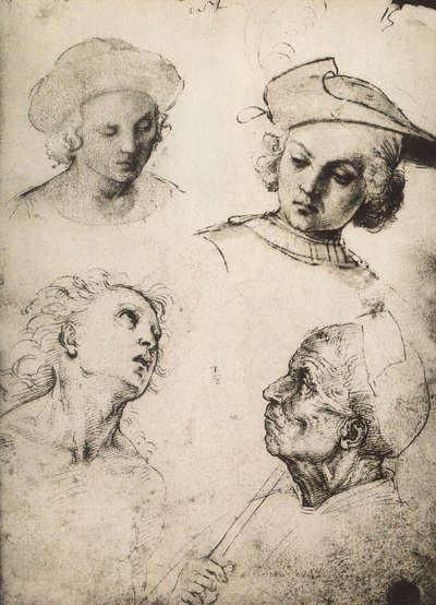 4つの男性の顔の研究。ラファエルの絵。ギャラリーデルアカデミア、ヴェネツィア 作： Raffaello Sanzio Raphael