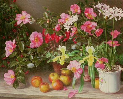 11月の花 作： Raymond Booth