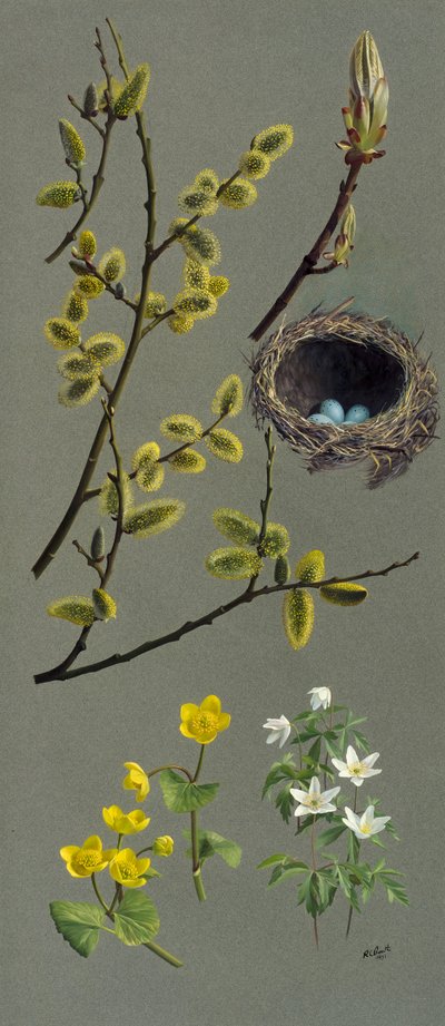 春の習作（油彩・紙） 作： Raymond Booth