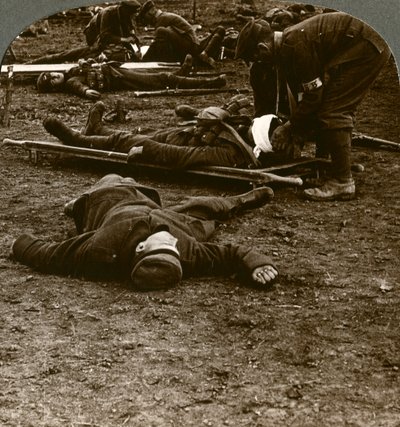 嵐と戦いのストレスの後、負傷した第一次世界大戦、1914-1918を世話します。 作： Realistic Travels Publishers