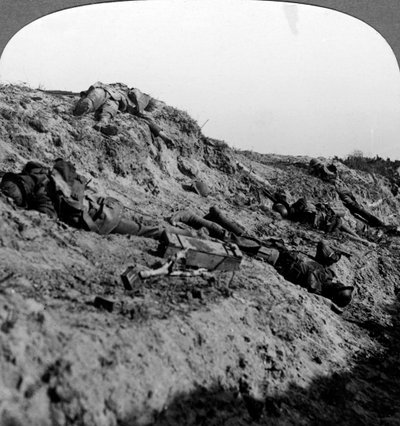 死んだ兵士、ヴィミー・リッジ、フランス、第一次世界大戦、1914-1918 作： Realistic Travels Publishers