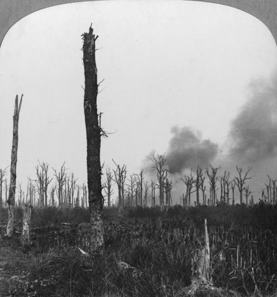 フランス、マメッツウッドで爆発した高爆発性の砲弾、第一次世界大戦、1916年 作： Realistic Travels Publishers