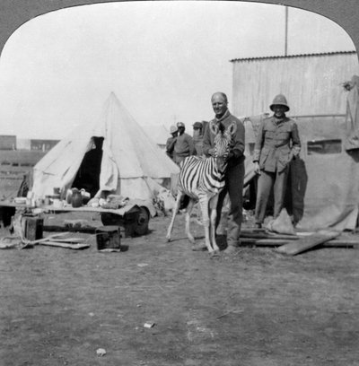ペットのシマウマ、東アフリカ、第一次世界大戦、1914-1918を持つ南アフリカの砲手。 作： Realistic Travels Publishers